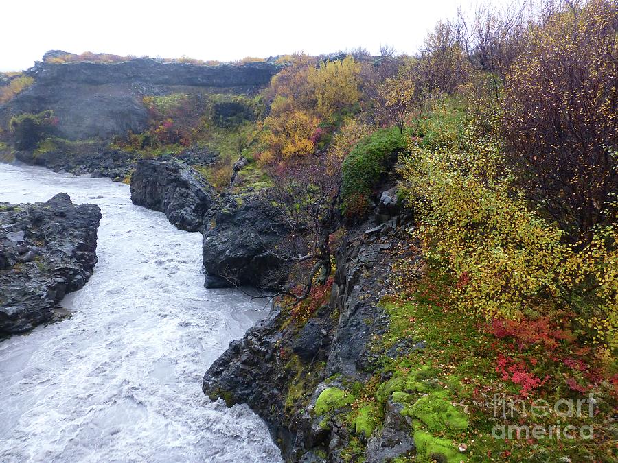Icelandic Stream with Fall Colors Photograph by Barbie Corbett-Newmin
