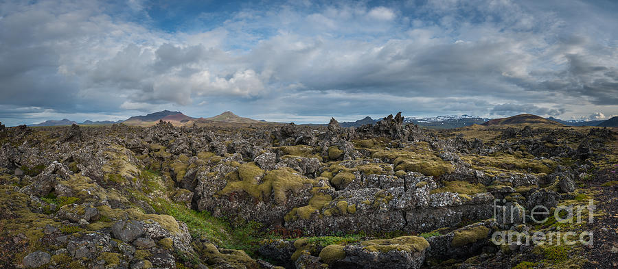 Icelands Mossy Volcanic Rock Photograph by Michael Ver Sprill - Fine ...