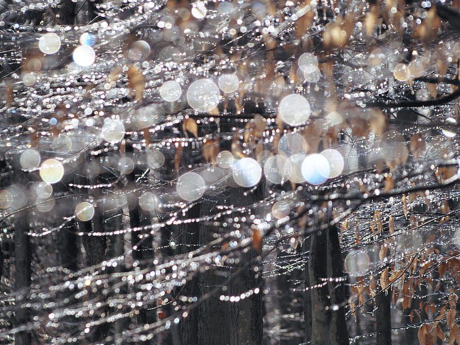 Icy Bokeh Sparkle Photograph by Dorothy Lee