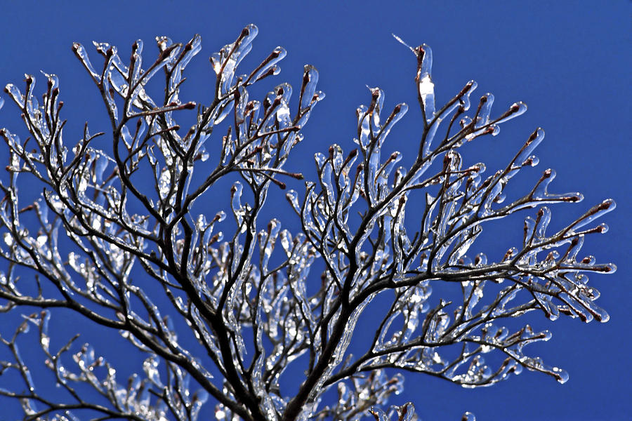 Winter Photograph - Icey Sparkle by Sally Weigand