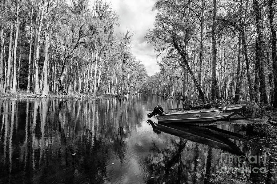 Ichetucknee Springs State Park, Florida Photograph by Felix Lai