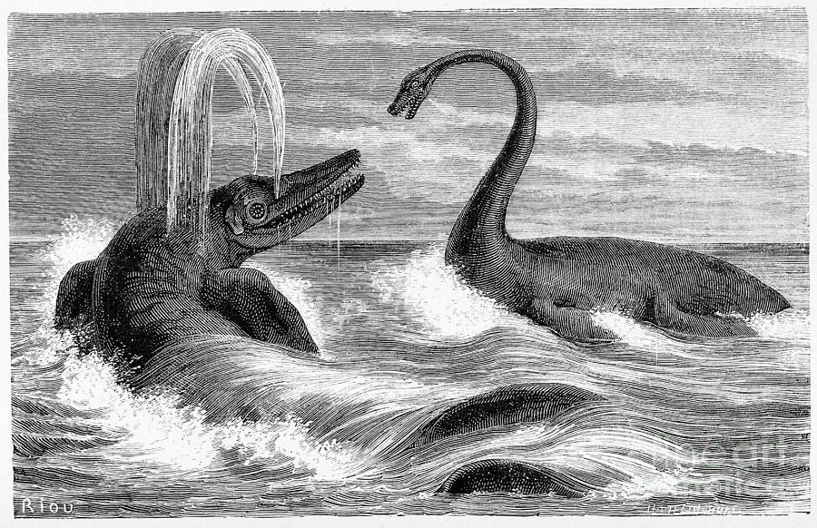 Ichthyosaurus And Plesiosaurus Photograph by Wellcome Images