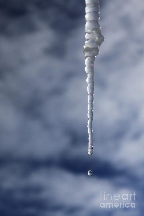 Winter Photograph - Icicle and Water Drop by James Eddy