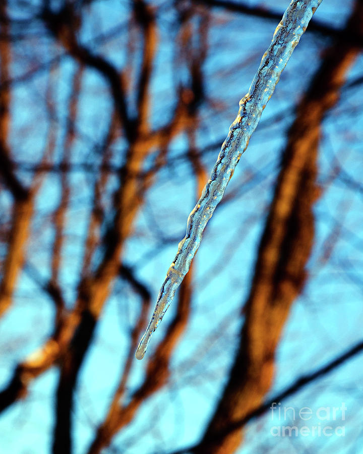 Icicle Photograph by Andee Design