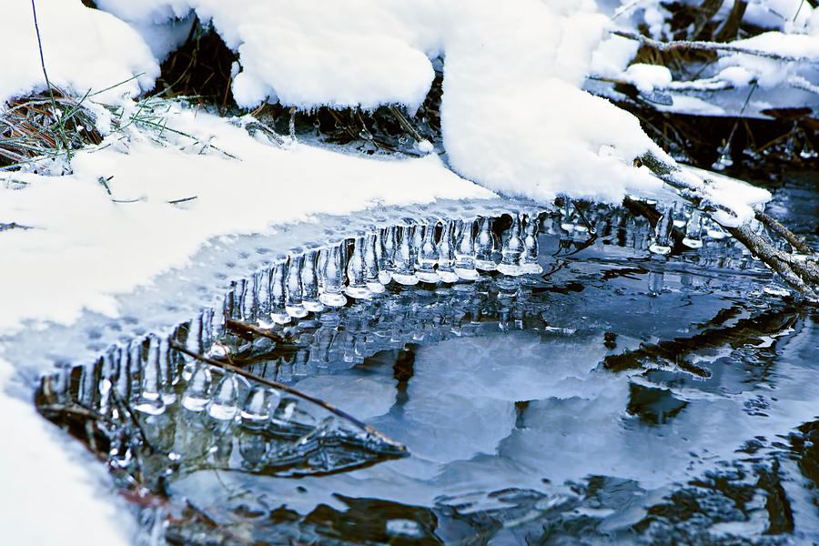 Yosemite National Park Photograph - Icicle Bells by Her Arts Desire