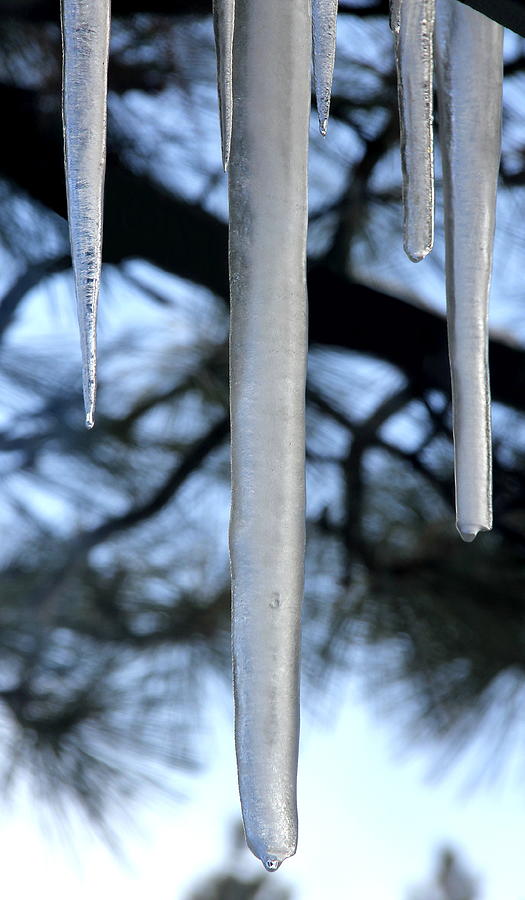 Winter Photograph - Icicle Blues by Diane Zucker