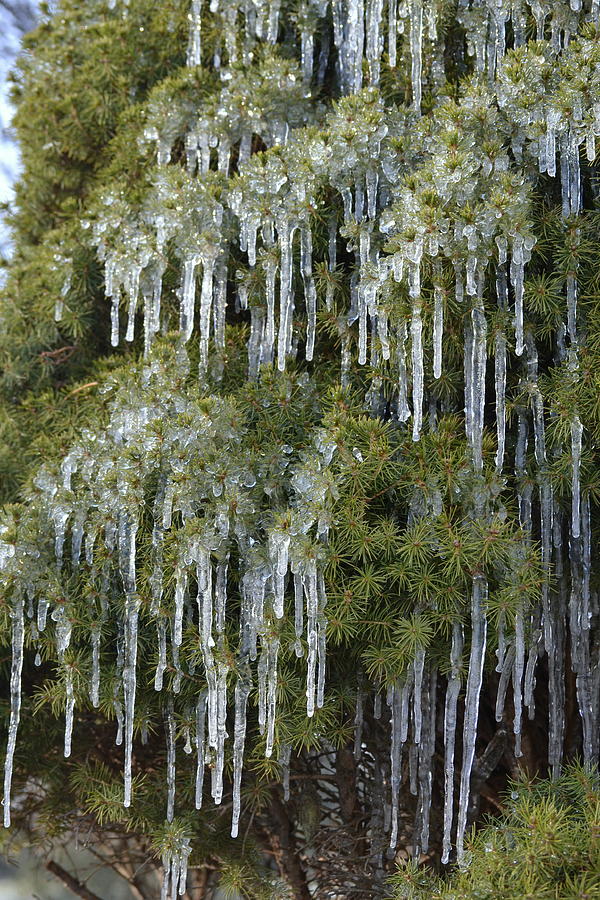 Icicle Cascade by JD Grimes Icicle Cascade by JD Grimes