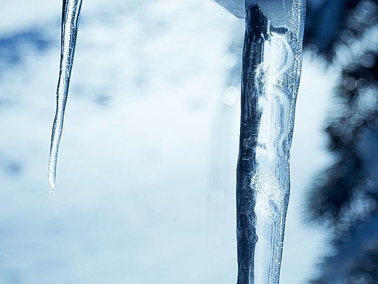 Icicle Detail Photograph by Desmond Raymond