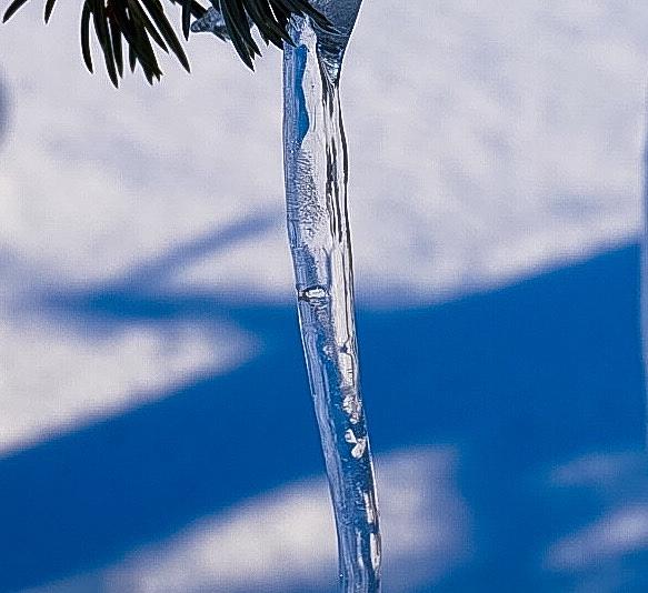 Icicle Detail2 Photograph by Desmond Raymond