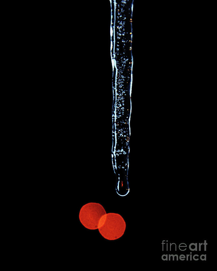 Icicle Drip And Red Bokah Photograph by Andee Design