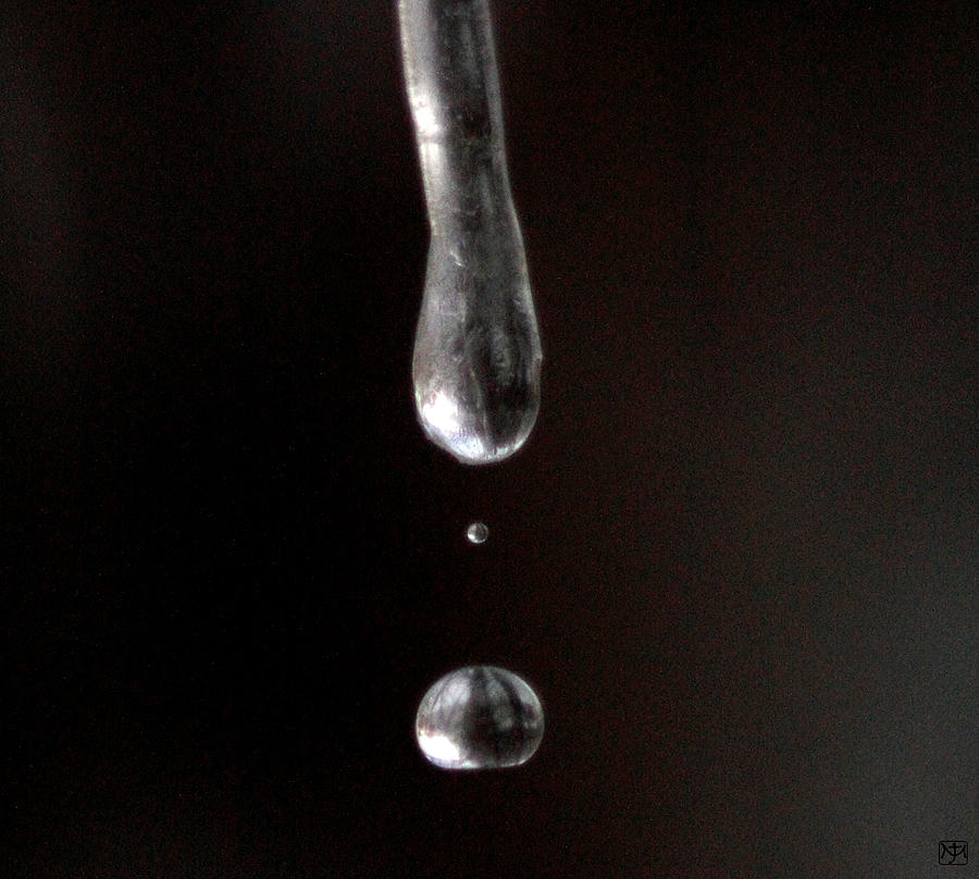 Icicle Droplets Photograph by John Meader