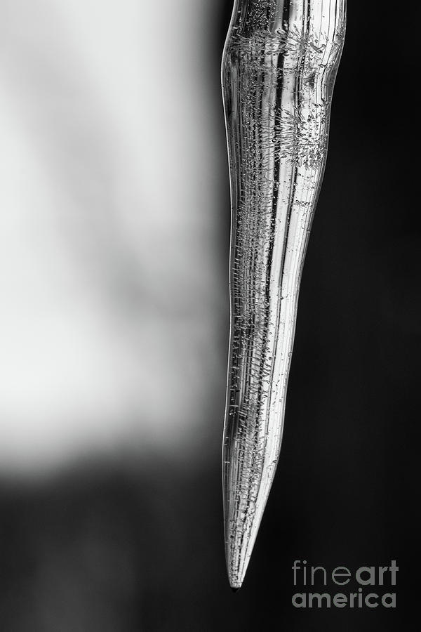 Icicle Macro Black and White  Photograph by Michael Ver Sprill