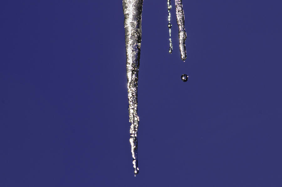 Icicle  Photograph by Sherri Meyer