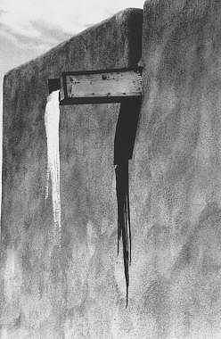 Icicle Photograph - Icicle by Susan Chandler Icicle Photograph - Icicle by Susan Chandler
