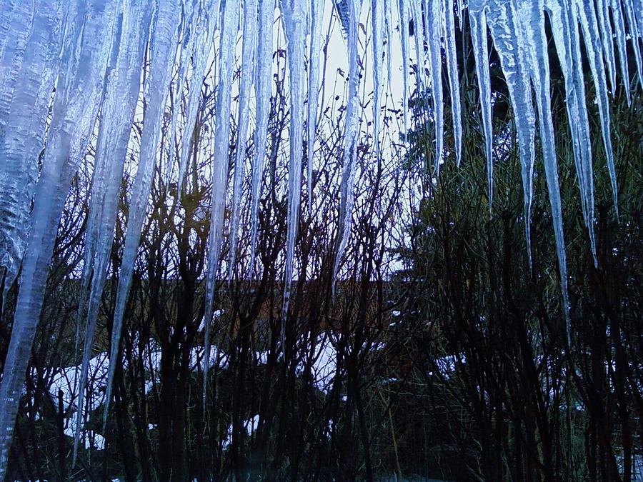 Icicles 1 Photograph by Anna Villarreal Garbis