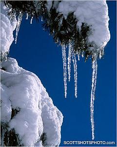 Icicles Photograph - Icicles 3 by Scott Thompson Icicles Photograph - Icicles 3 by Scott Thompson