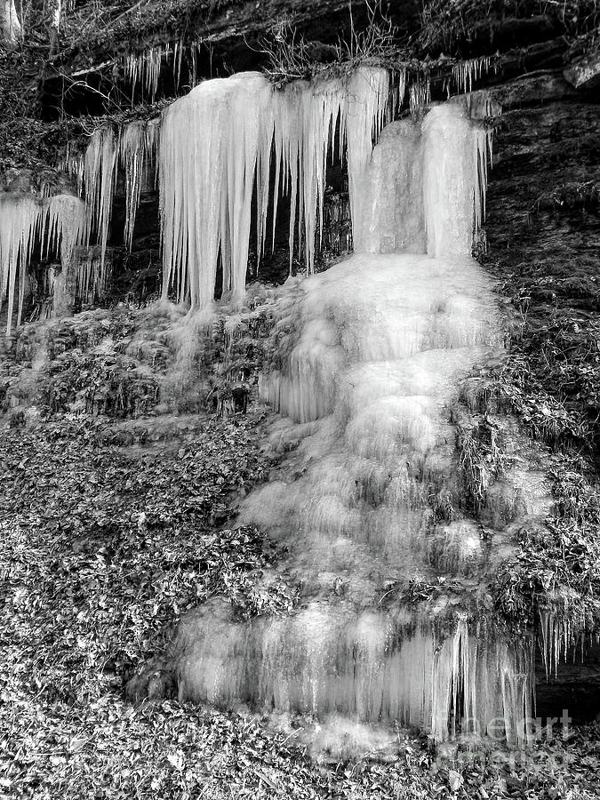 Icicles At Frozen Head Photograph by Phil Perkins