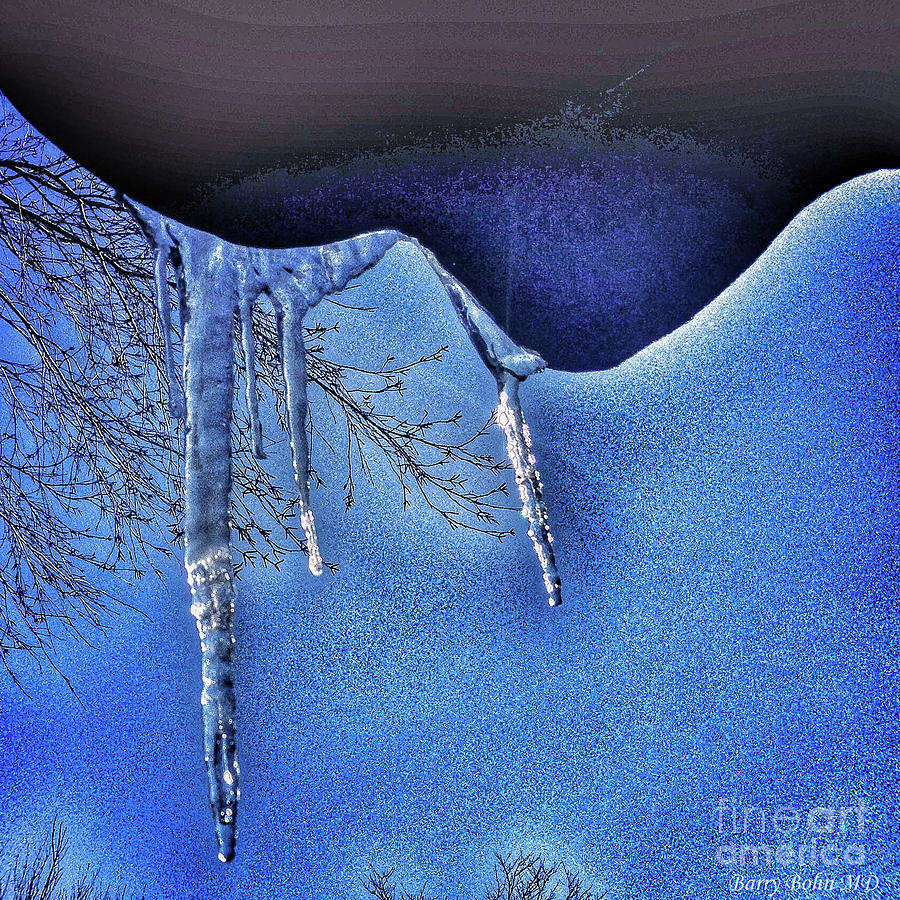 Icicles Photograph by Barry Bohn