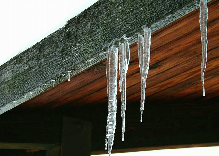 Icicles Photograph by Brad Nellis