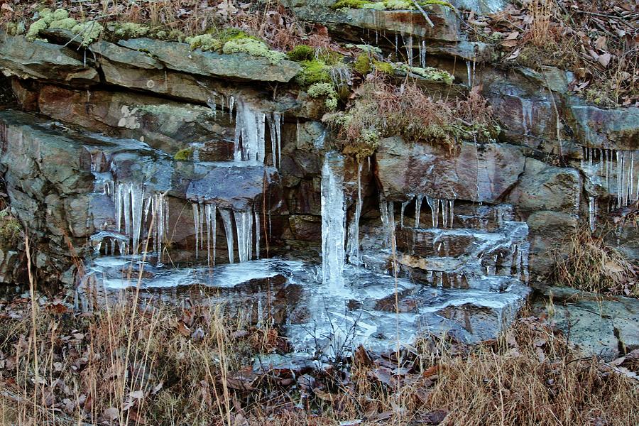 Icicles Photograph by Cynthia Guinn