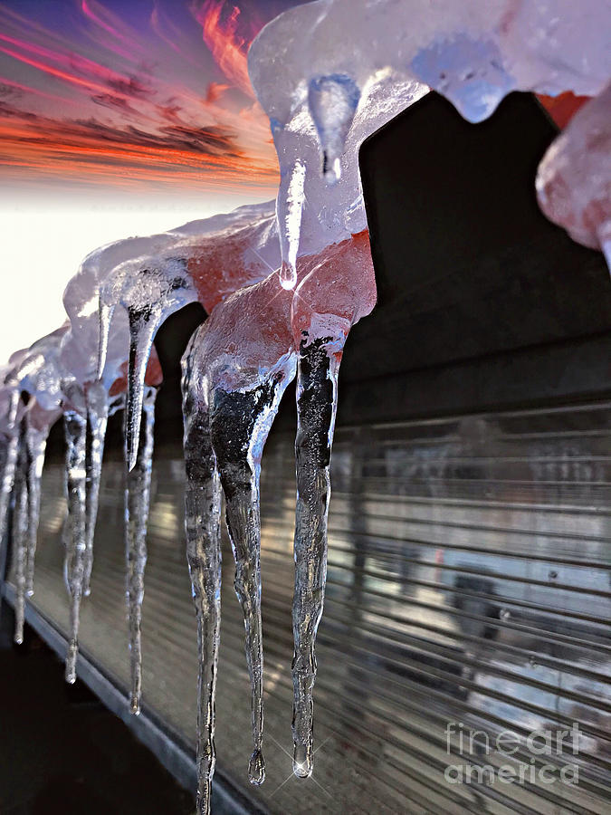 Icicles hanging from a Tin Roof Photograph by Randy Harris