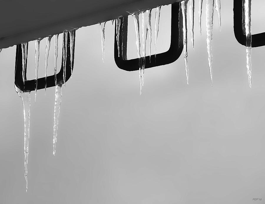 Icicles In The Sun Photograph by Phil Perkins