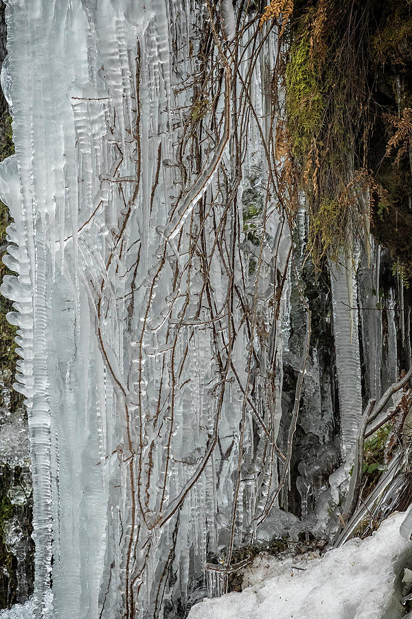 Icicles, No. 1 Photograph by Belinda Greb