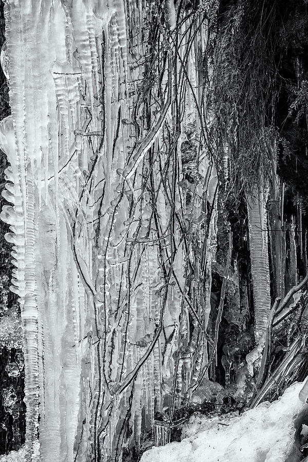 Icicles, No. 1 bw Photograph by Belinda Greb