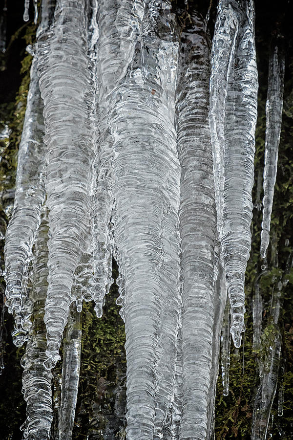 Icicles, No. 2 Photograph by Belinda Greb