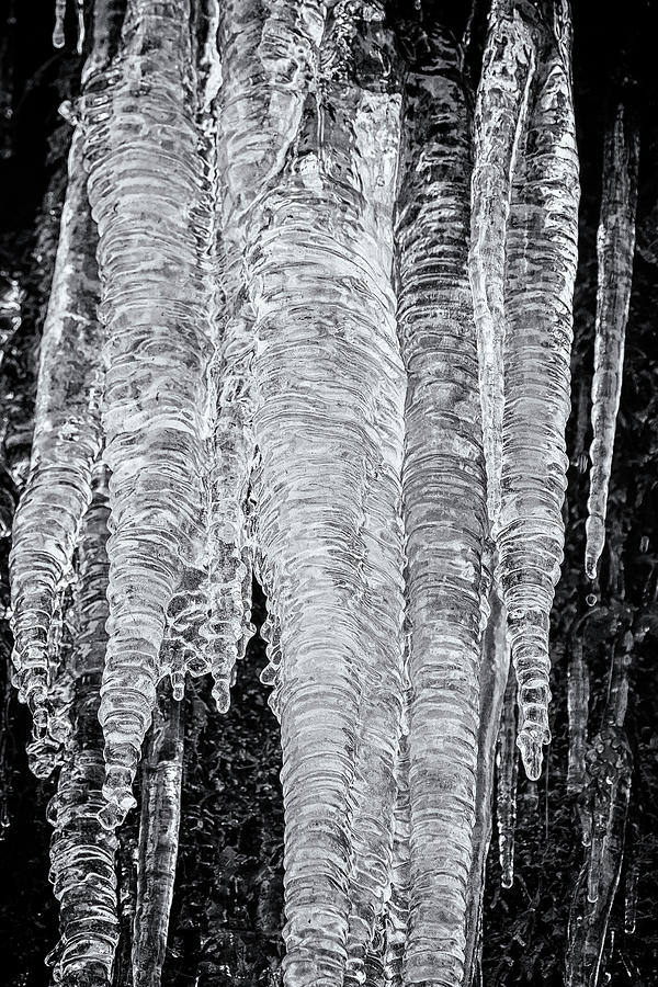 Icicles, No. 2 bw Photograph by Belinda Greb