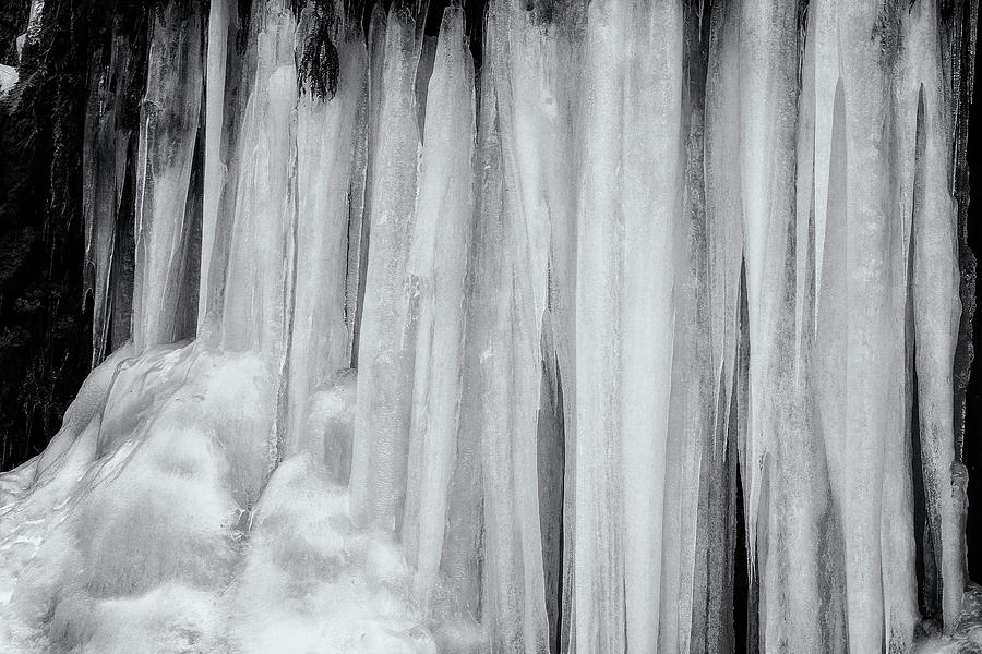 Icicles, No. 3 bw Photograph by Belinda Greb