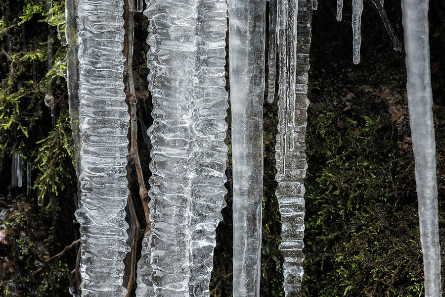 Icicles, No. 4 Photograph by Belinda Greb