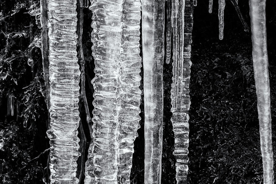 Icicles, No. 4 bw Photograph by Belinda Greb