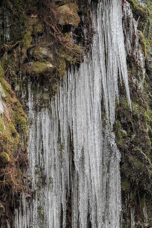 Icicles, No. 5 Photograph by Belinda Greb