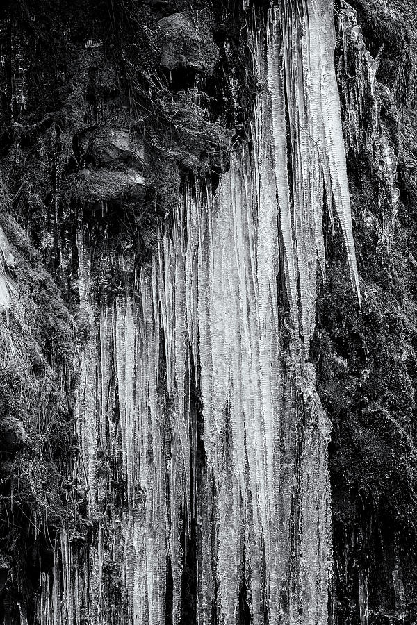 Icicles, No. 5 bw Photograph by Belinda Greb