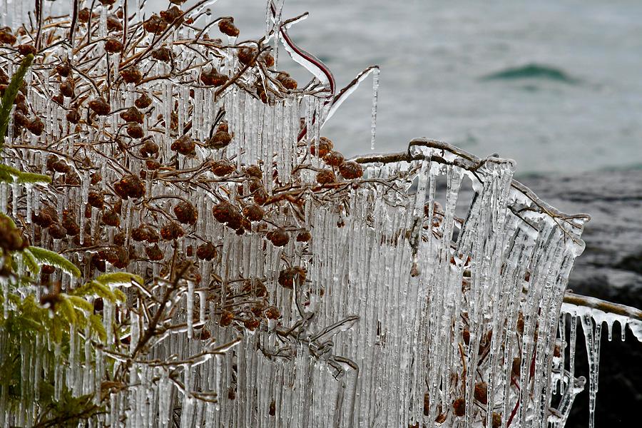 Icicles On Shore  Photograph by Hella Buchheim