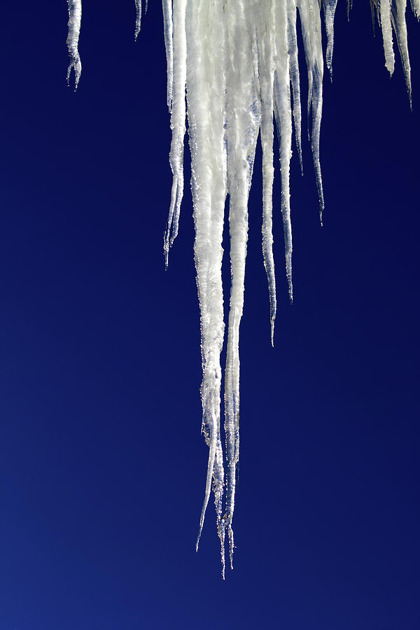 Icicles Photograph by Shane Bechler