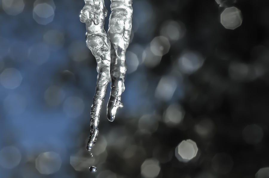 Icicles  Photograph by Sherri Meyer