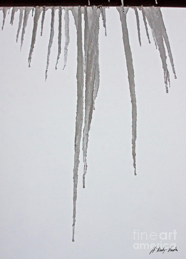 Icicles-Signed-#7160 Photograph by J L Woody Wooden