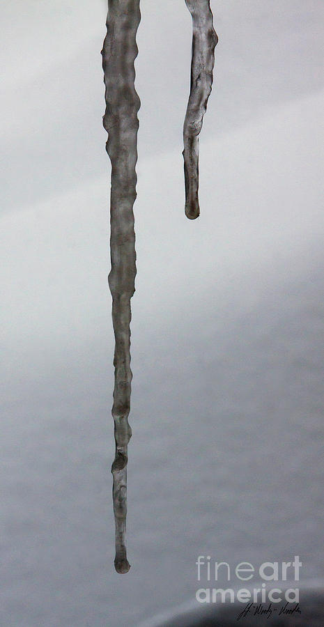 Icicles-Signed-#7176 Photograph by J L Woody Wooden