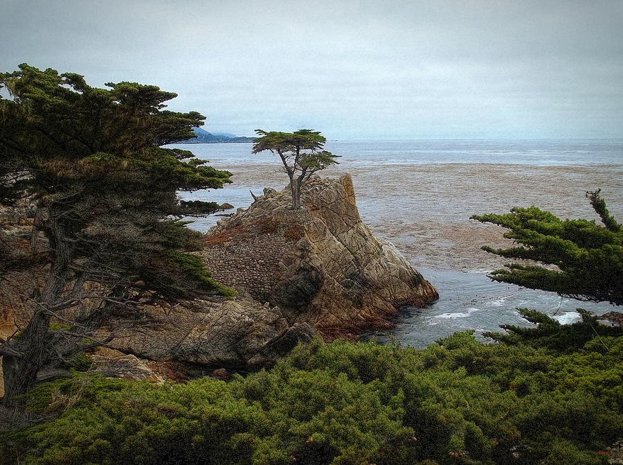 Icon Of Pebble Beach Photograph by Glenn McCarthy Art and Photography