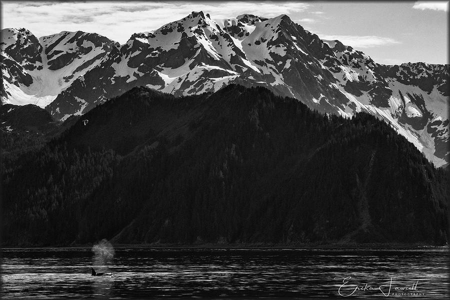 Iconic Alaska Photograph by Erika Fawcett