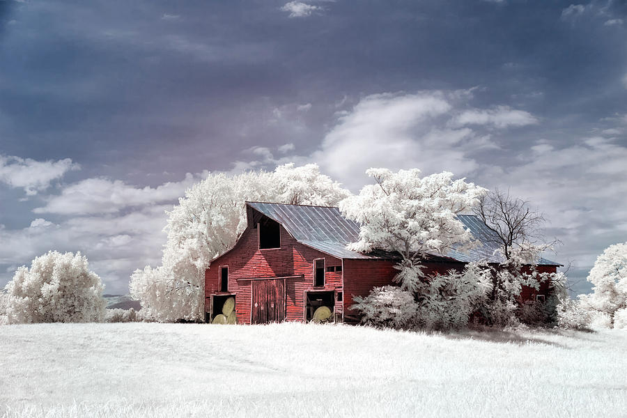 Iconic Barn In Infrared Photograph by Cindy Archbell - Fine Art America