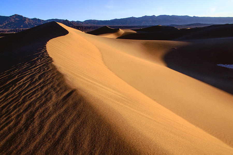 Dunes Photograph - Iconic Dunes At Death Valley by Matt Cohen Dunes Photograph - Iconic Dunes At Death Valley by Matt Cohen