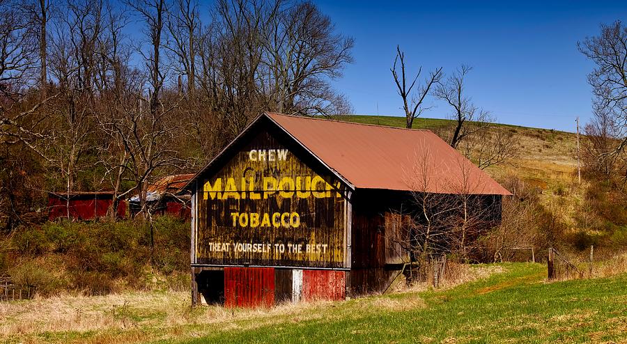 Tree Photograph - Iconic Mail Pouch Tobacco Barn In Ohio by Mountain Dreams
