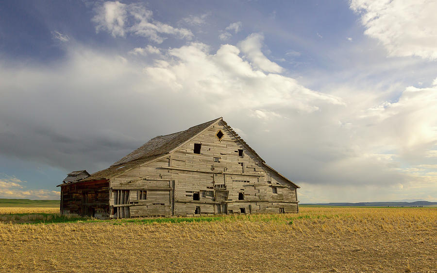 Iconic Montana Barn Photograph by Jack Bell
