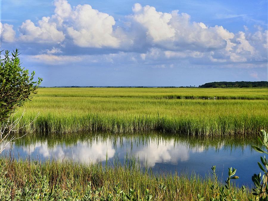 Iconic Summer Scene Photograph by Laura Ragland - Fine Art America