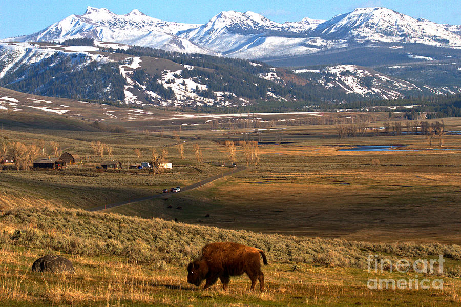 Iconic Yellowstone Landscape Photograph by Adam Jewell