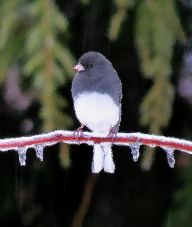 Icy Balance - Brush Strokes - Cropped Photograph by MTBobbins Photography