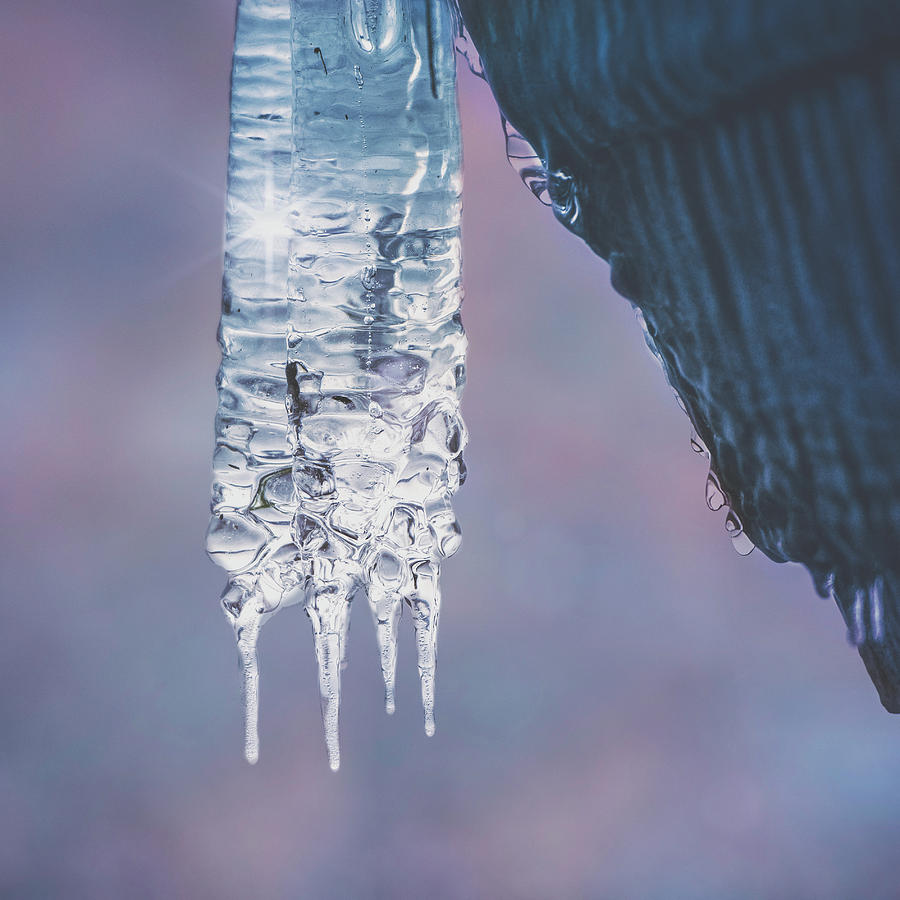 Icy Beauty by Ari Salmela Icy Beauty by Ari Salmela